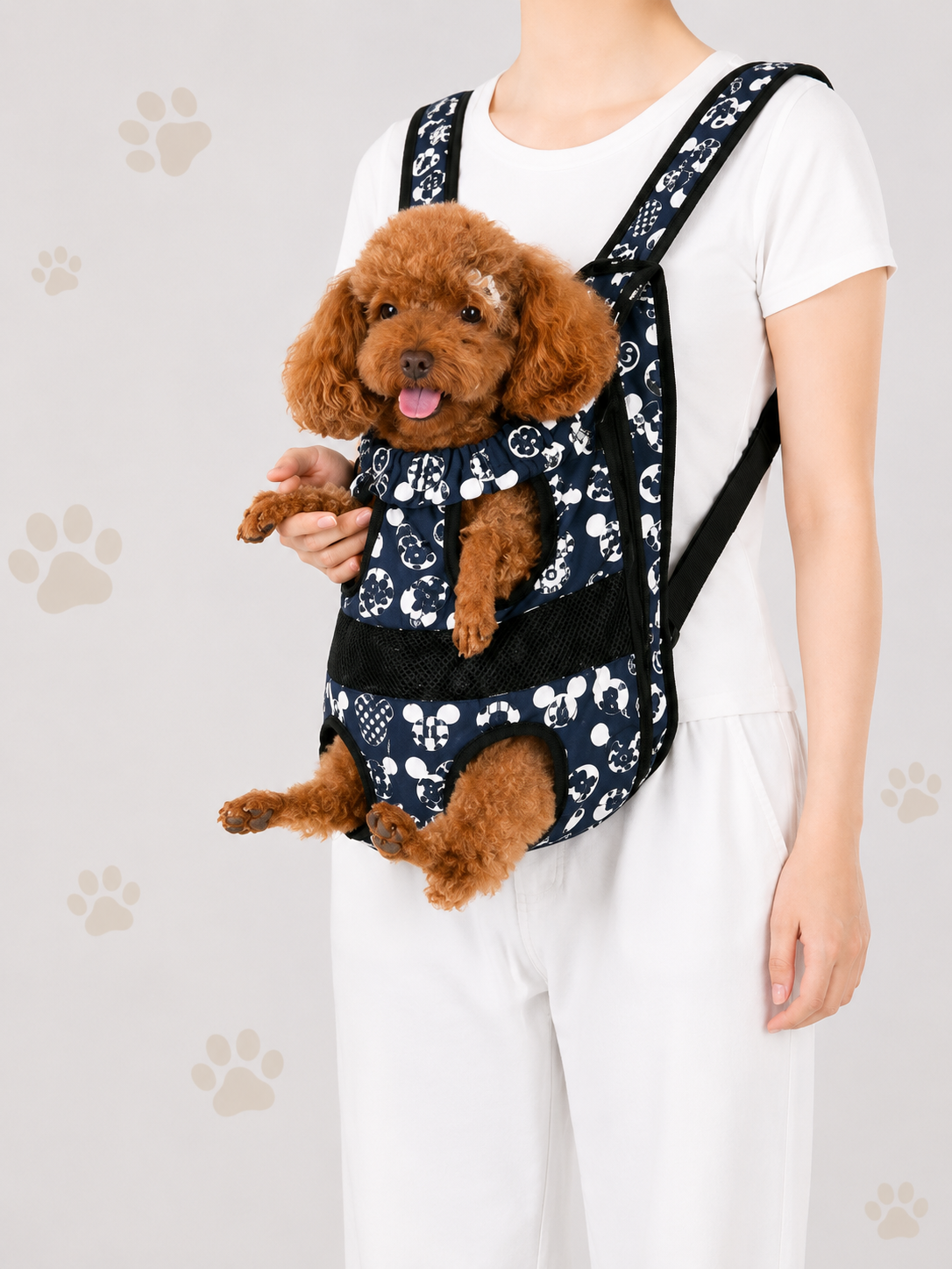 Pet Carriers