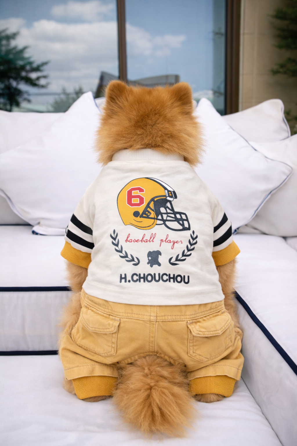 BaseBall Overall