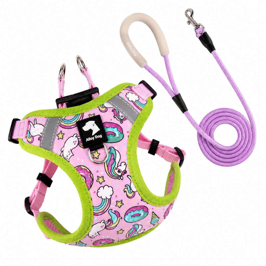 Unicorn Leash & Harness Set