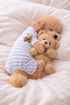 Blue Teddy Stripe Pet Pajamas