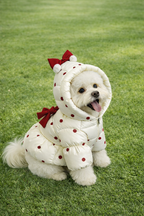 Red Bow Coat
