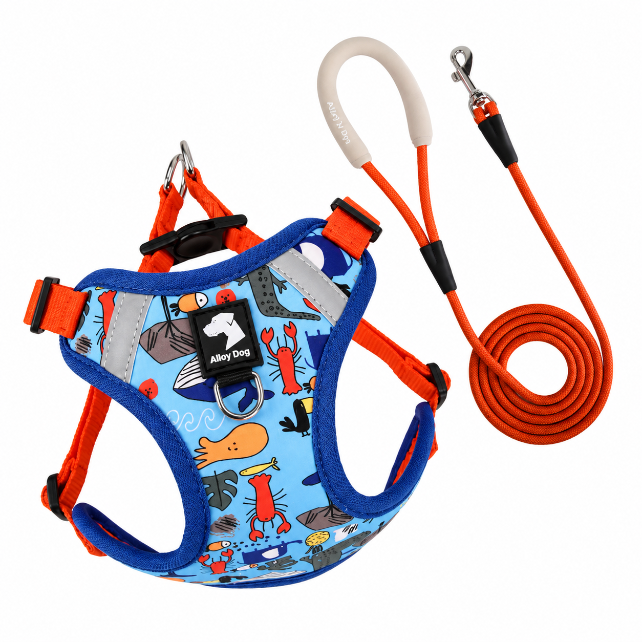 Sea Summer Harness & leash Set