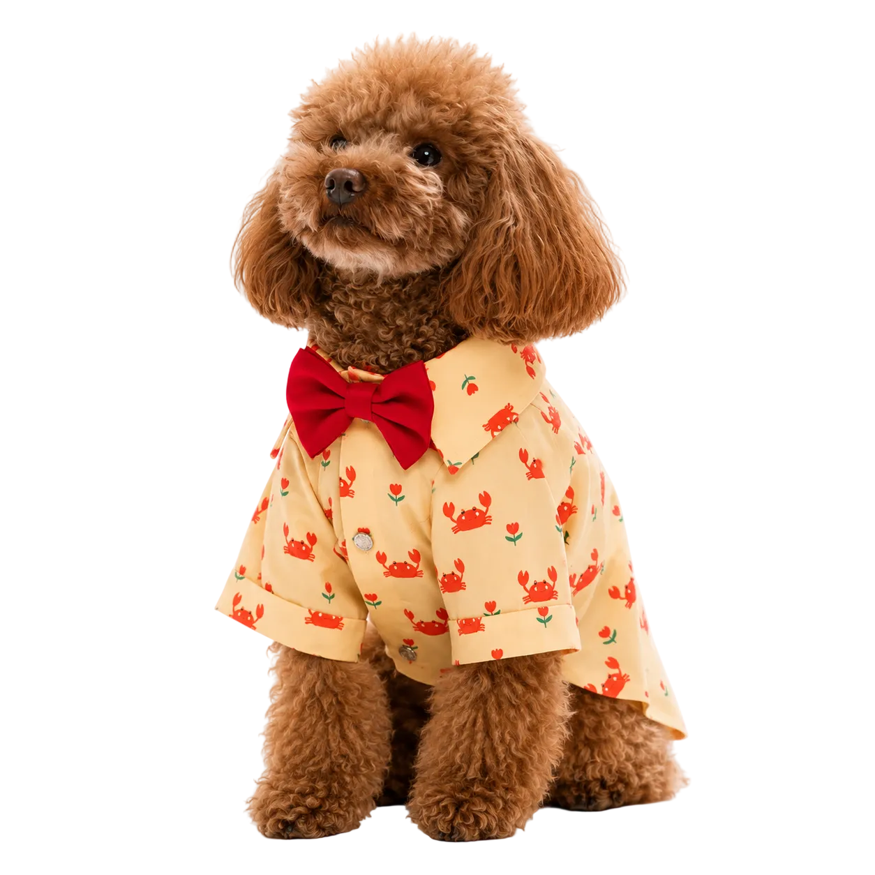 Crabby Chic Pet Shirt
