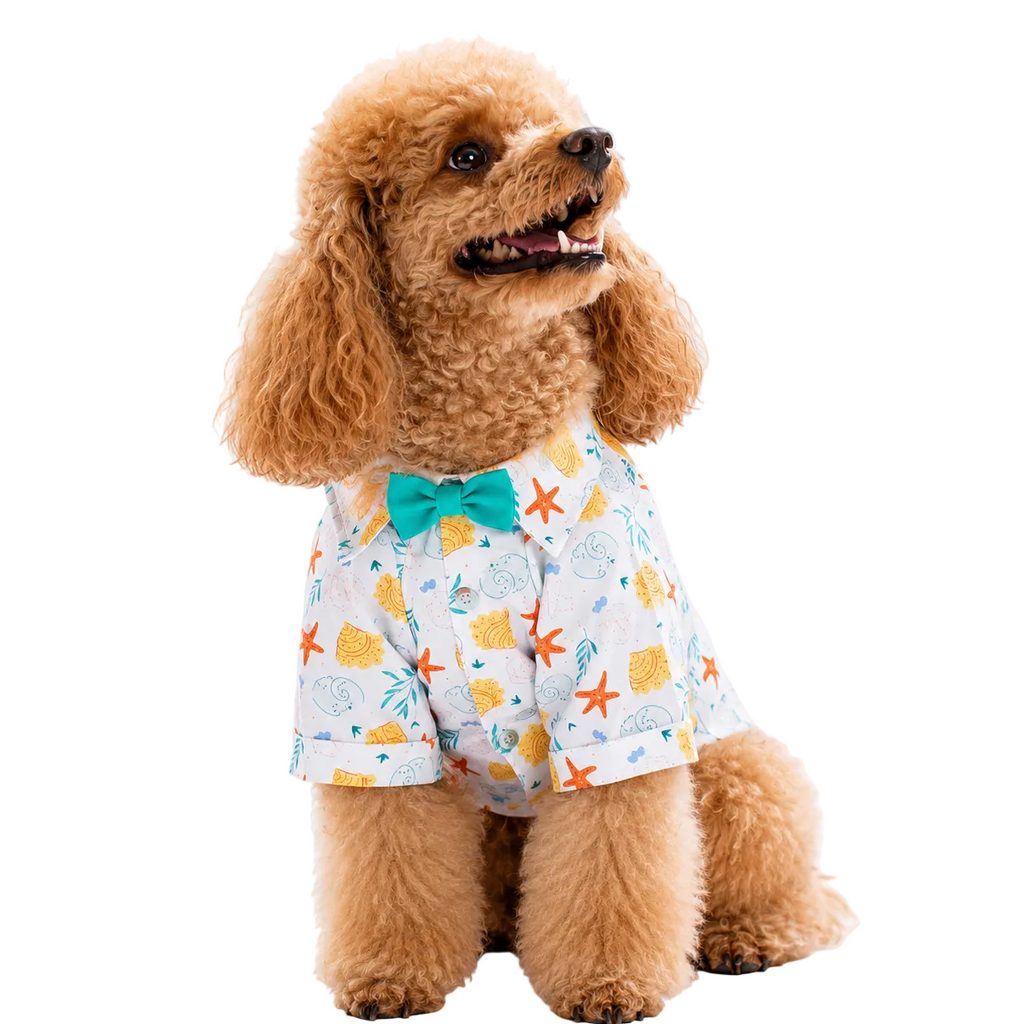 Aqua Chic pet Shirt