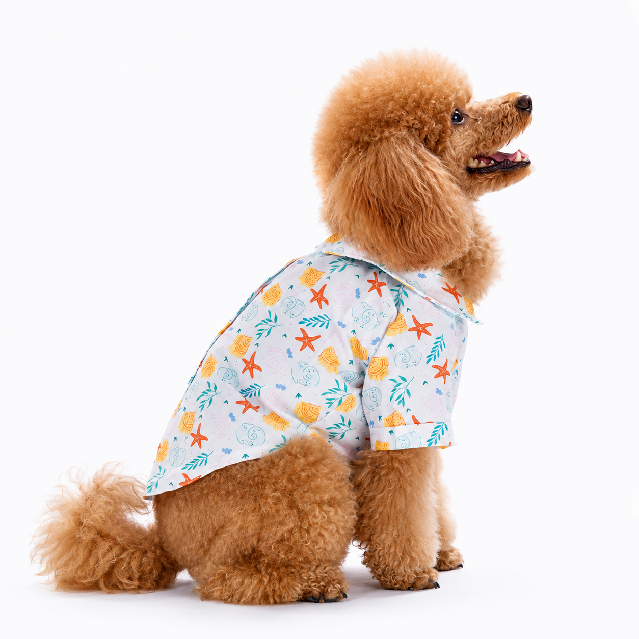 Aqua Chic pet Shirt