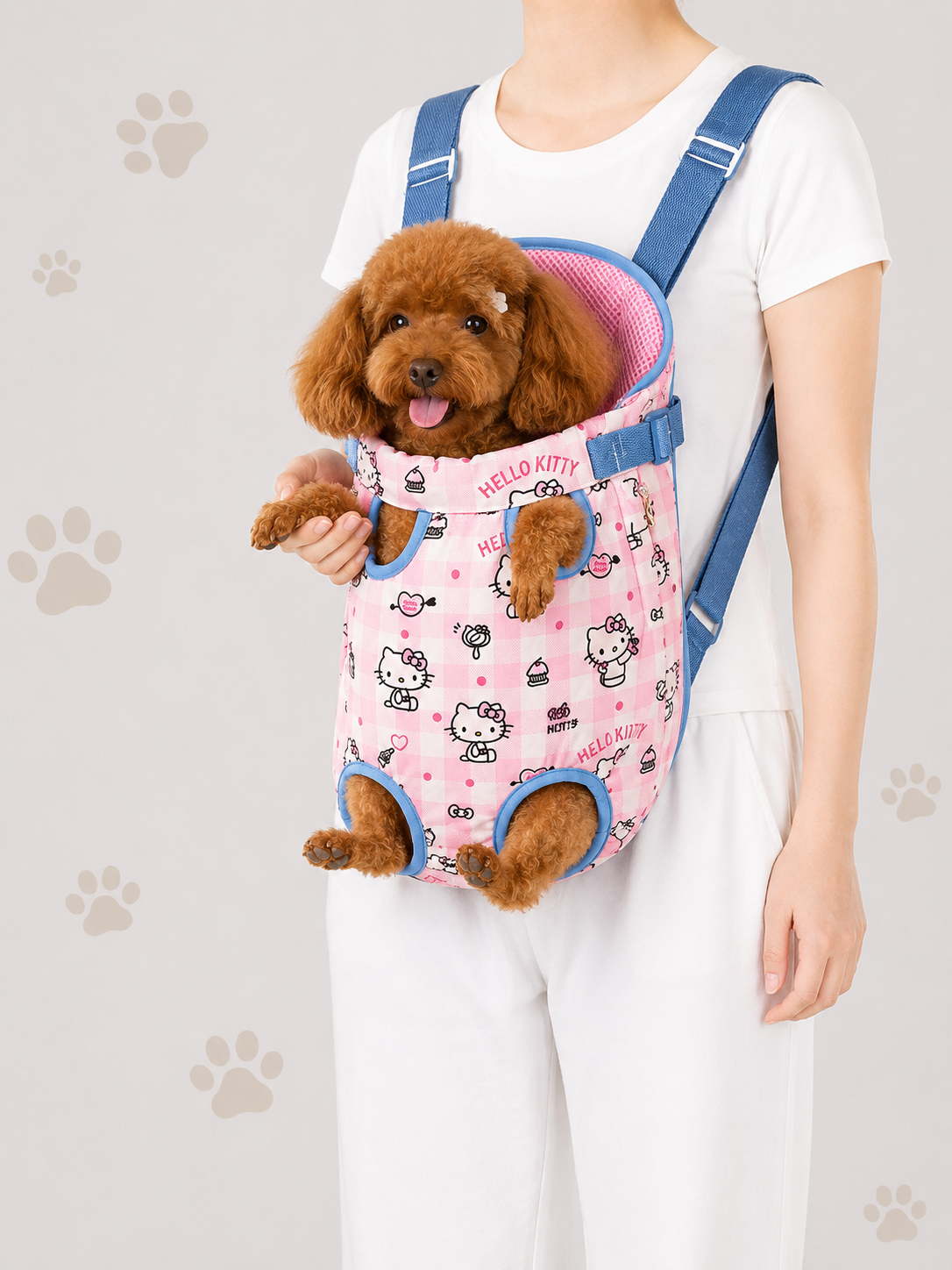 Hello Kitty pet Carrier