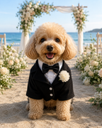 Formal Pup suite