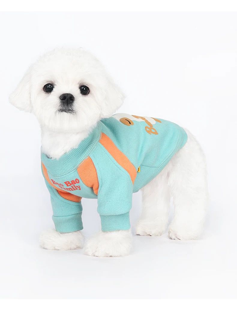Minty - Pup Hoodie