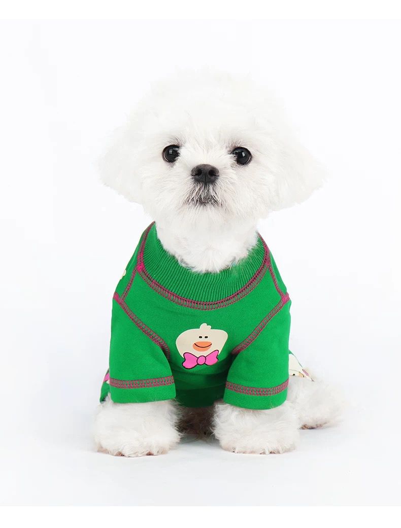 Bow Babe Dog Tee green